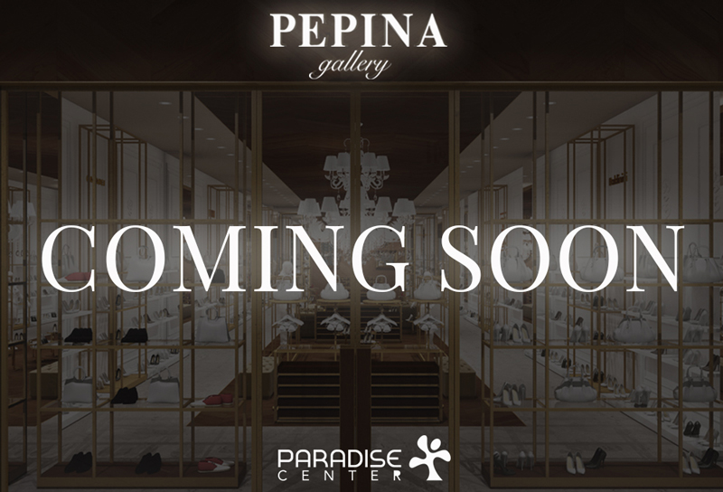 În curând deschidere– PEPINA Gallery