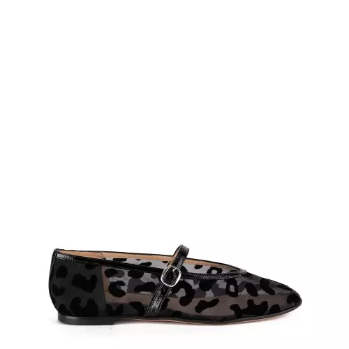 Luca Grossi Balerini damă