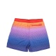 SPRAYGROUND Pantaloni scurți de baie bărbați MONEYMAKER - vezi 2