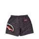 SPRAYGROUND Pantaloni scurți de baie bărbați - vezi 2