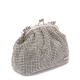 Albano Poșetă damă argintie - vezi 2
